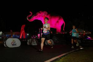 BIB: 
                            <button type="button" onclick="openModal(26543276)" class="btn btn-primary btn-sm float-right btn-popup" data-toggle="modal" data-target=".modal-high-quality">
                        <i class="fas fa-shopping-cart"></i> Add to Cart
                    </button>
                                            <button type="button" onclick="isThisMe(26543276, true)" class="btn btn-success btn-sm float-right btn-popup btn-isme hidden" data-toggle="tooltip" data-placement="bottom" title="นี่คือรูปของคุณใช่ไหม คลิกที่นี่เพื่อเอาเข้าอัลบั้ม">
                        <i class="fas fa-plus"></i> Add to album
                    </button>
                    <button type="button" onclick="isThisMe(26543276, false)" class="btn btn-warning btn-sm float-right btn-popup btn-isnotme hidden">
                        <i class="fas fa-ban"></i> Remove from album
                    </button>